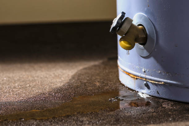 Best Water damage cleanup near me  in Ellington, MO