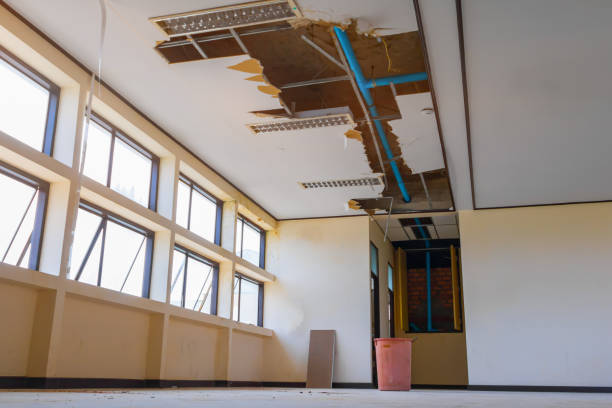 Best Sewage cleanup and water damage restoration  in Ellington, MO