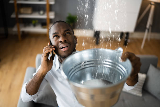 Best Ceiling water damage repair  in Ellington, MO