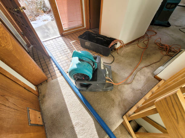 Best Fire Damage Restoration  in Ellington, MO