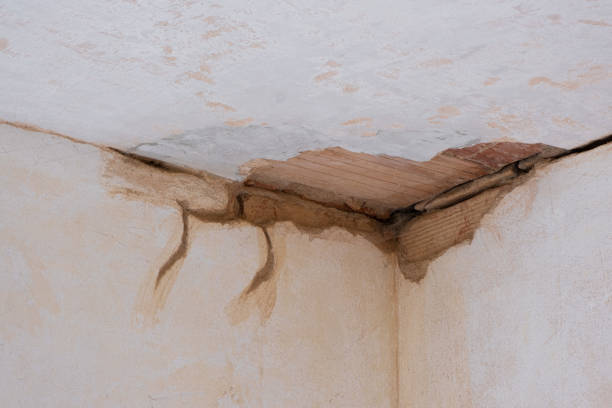 Best Local water damage restoration  in Ellington, MO