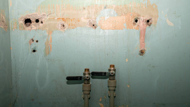 Best Basement water damage restoration  in Ellington, MO