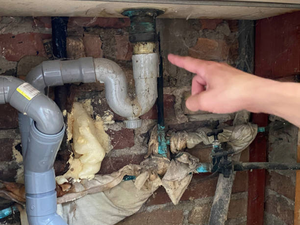 Best Water damage restoration near me  in Ellington, MO