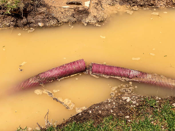 Best Water damage restoration cost  in Ellington, MO