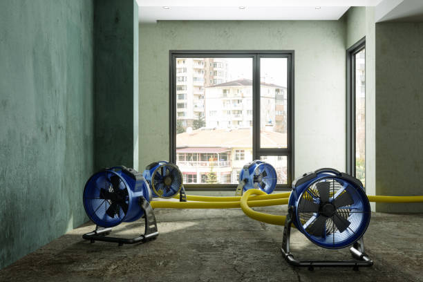 Best Carpet water damage restoration  in Ellington, MO